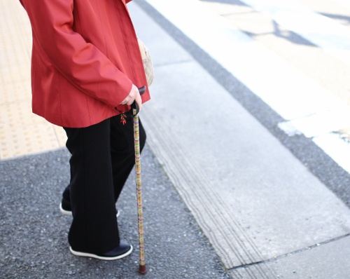 脳卒中 リハビリ 福岡 杖